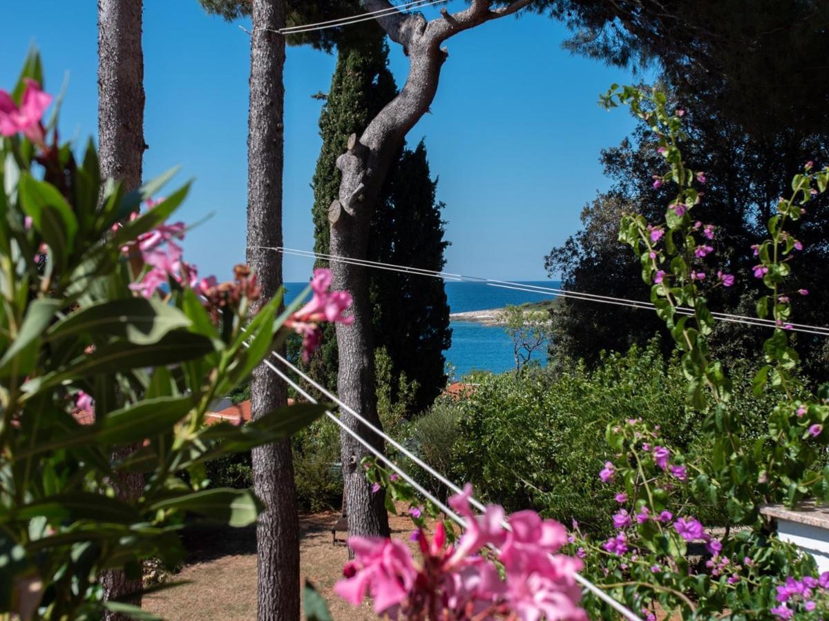 Villa Emilia Banjole Exteriér fotografie